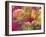 Blooming Orchids in Orange Tones Infront of Red Pink Floral Ornament Backgound-Alaya Gadeh-Framed Photographic Print