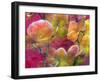 Blooming Orchids in Orange Tones Infront of Red Pink Floral Ornament Backgound-Alaya Gadeh-Framed Photographic Print