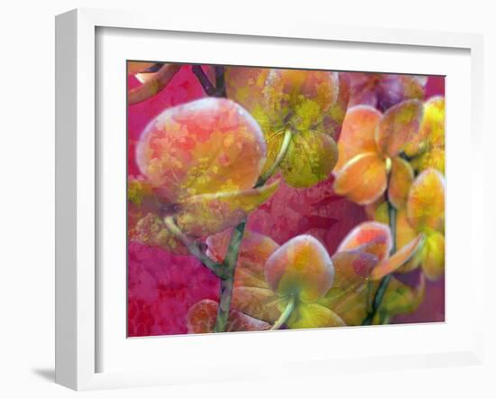 Blooming Orchids in Orange Tones Infront of Red Pink Floral Ornament Backgound-Alaya Gadeh-Framed Photographic Print