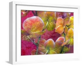 Blooming Orchids in Orange Tones Infront of Red Pink Floral Ornament Backgound-Alaya Gadeh-Framed Photographic Print