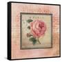 Blooming Paris I-Kimberly Poloson-Framed Stretched Canvas