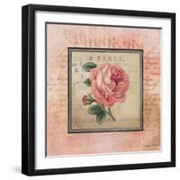 Blooming Paris I-Kimberly Poloson-Framed Art Print