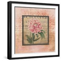 Blooming Paris II-Kimberly Poloson-Framed Premium Giclee Print