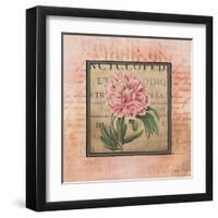 Blooming Paris II-Kimberly Poloson-Framed Art Print