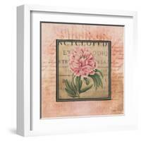 Blooming Paris II-Kimberly Poloson-Framed Art Print