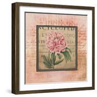 Blooming Paris II-Kimberly Poloson-Framed Art Print