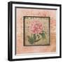 Blooming Paris II-Kimberly Poloson-Framed Art Print