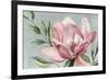 Blooming Pink Magnolia-Jacob Q-Framed Art Print