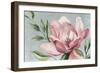 Blooming Pink Magnolia-Jacob Q-Framed Art Print