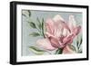 Blooming Pink Magnolia-Jacob Q-Framed Art Print