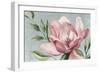 Blooming Pink Magnolia-Jacob Q-Framed Art Print