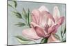 Blooming Pink Magnolia-Jacob Q-Mounted Art Print