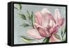Blooming Pink Magnolia-Jacob Q-Framed Stretched Canvas
