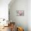 Blooming Pink Magnolia-Jacob Q-Stretched Canvas displayed on a wall