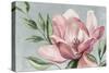 Blooming Pink Magnolia-Jacob Q-Stretched Canvas