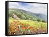 Blooming Poppy 1-Li Bo-Framed Stretched Canvas