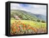 Blooming Poppy 1-Li Bo-Framed Stretched Canvas