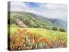Blooming Poppy 1-Li Bo-Stretched Canvas