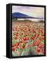 Blooming Poppy 2-Li Bo-Framed Stretched Canvas