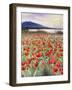 Blooming Poppy 2-Li Bo-Framed Giclee Print