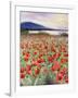 Blooming Poppy 2-Li Bo-Framed Giclee Print