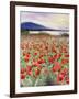 Blooming Poppy 2-Li Bo-Framed Giclee Print