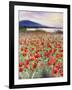 Blooming Poppy 2-Li Bo-Framed Giclee Print