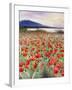 Blooming Poppy 2-Li Bo-Framed Giclee Print