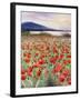 Blooming Poppy 2-Li Bo-Framed Giclee Print