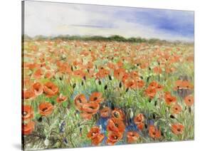 Blooming Poppy 3-Li Bo-Stretched Canvas