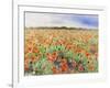 Blooming Poppy 3-Li Bo-Framed Giclee Print