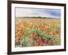 Blooming Poppy 3-Li Bo-Framed Giclee Print