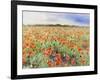 Blooming Poppy 3-Li Bo-Framed Giclee Print