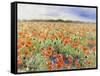 Blooming Poppy 3-Li Bo-Framed Stretched Canvas