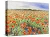 Blooming Poppy 3-Li Bo-Stretched Canvas