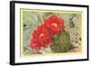 Blooming Prickly Pear Cactus-null-Framed Art Print