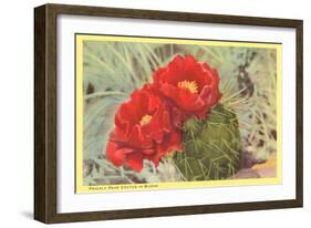 Blooming Prickly Pear Cactus-null-Framed Art Print