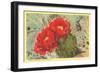 Blooming Prickly Pear Cactus-null-Framed Art Print