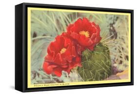 Blooming Prickly Pear Cactus-null-Framed Stretched Canvas