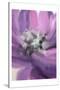 Blooming Purple-Kimberly Allen-Stretched Canvas