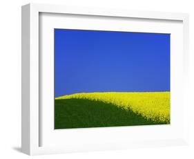 Blooming Rape Plant Field-Walter Geiersperger-Framed Photographic Print