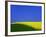 Blooming Rape Plant Field-Walter Geiersperger-Framed Photographic Print