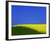 Blooming Rape Plant Field-Walter Geiersperger-Framed Photographic Print