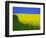 Blooming Rape Plant Field-Walter Geiersperger-Framed Photographic Print