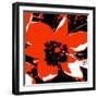 Blooming Red Hot-Herb Dickinson-Framed Photographic Print