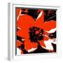 Blooming Red Hot-Herb Dickinson-Framed Photographic Print