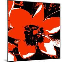 Blooming Red Hot-Herb Dickinson-Mounted Photographic Print