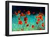 Blooming Red Poppies in a Field in Spring in Nature on a Turquoise Background with Soft Focus, Macr-null-Framed Photographic Print