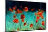 Blooming Red Poppies in a Field in Spring in Nature on a Turquoise Background with Soft Focus, Macr-null-Mounted Photographic Print