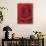 Blooming Red Rose-null-Photographic Print displayed on a wall